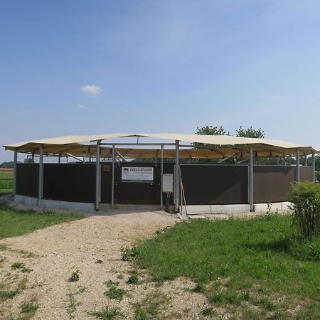 Holiday Home Domus Magna-3 By Interhome Povoletto Luaran gambar
